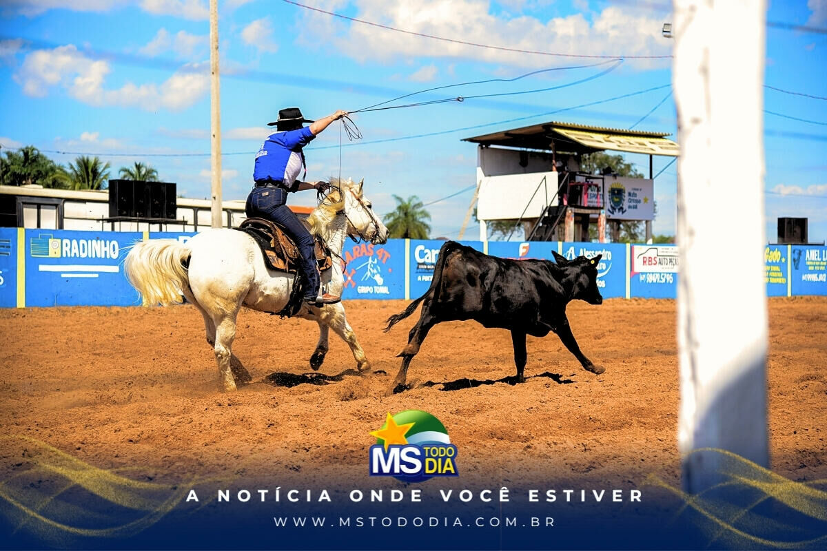 Imagem da Galeria